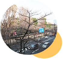 市ヶ谷オレンジ治療院 様々な地域から通院されています!